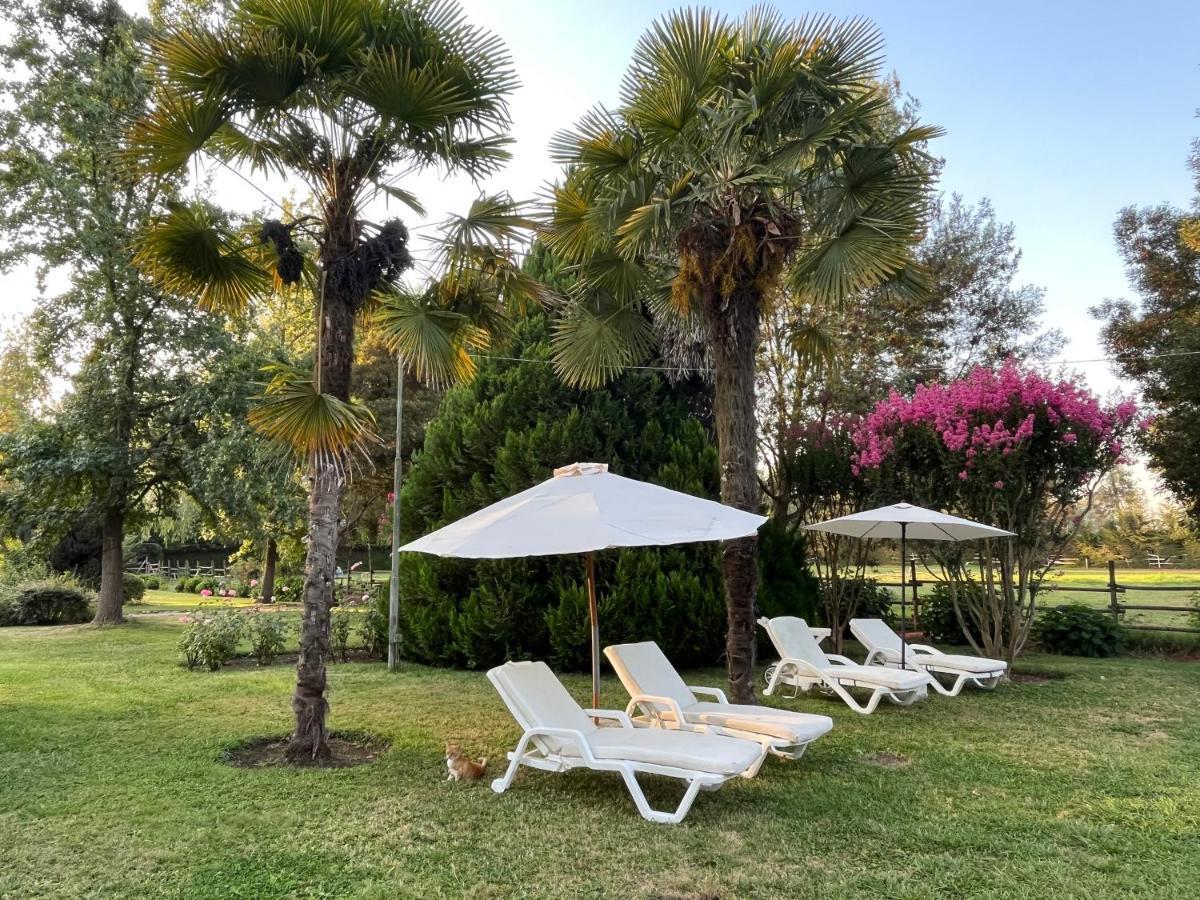 Bed & Breakfast ,Casa De Campo San Esteban,Linares Miraflores Esterno foto